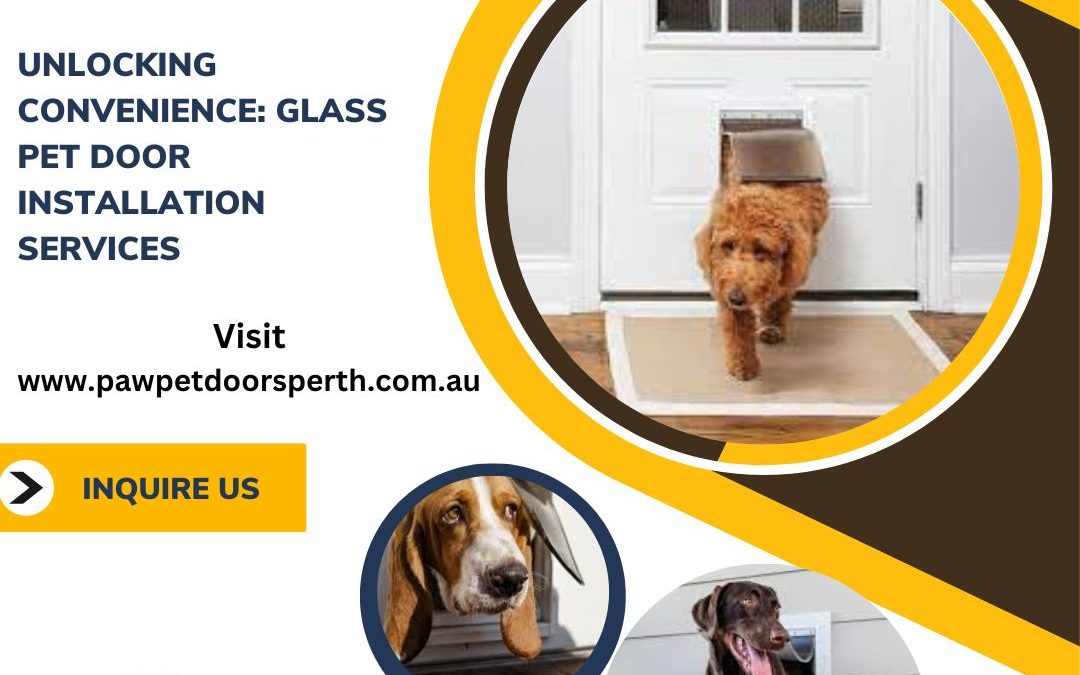 Unlocking Convenience: Glass Pet Door Installation Services