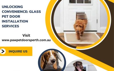 Seamless Access for Your Furry Friends: Expert Glass Pet Doors Installation in Perth by Paw Pet Doors
