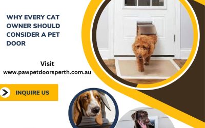 Why Every Cat Owner Should Consider a Pet Door: The Best 5 Benefits of Pet Doors