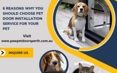 Integrated Services for Modern Cat Doors in Perth