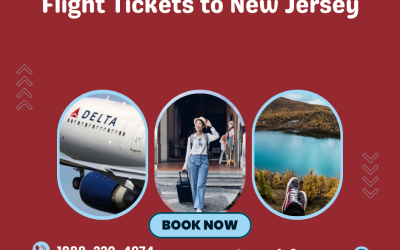 Discover Cheap Flights to New Jersey with Travelo1 – Your Gateway to Budget Travel
