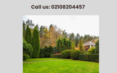 Transform Your Outdoor Space with Galaxy Lawn Care
