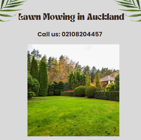 Transform Your Outdoor Space with Galaxy Lawn Care