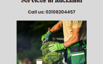 Transform Your Outdoors with Galaxy Lawn Care: Professional Landscaping and Rubbish Removal Services in Auckland