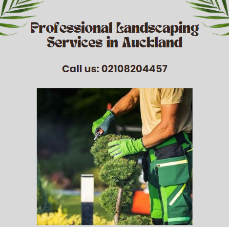Transform Your Outdoors with Galaxy Lawn Care: Professional Landscaping and Rubbish Removal Services in Auckland