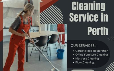 Sparkling Workspaces: Expert Office Furniture and Carpet Cleaning in Perth