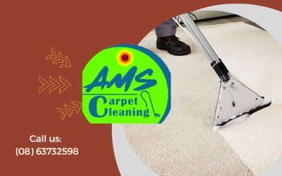 Restore Freshness to Your Home with Professional Mattress & Carpet Cleaning in Perth