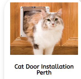 Cat Door Installation Perth