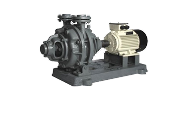Liquid Ring Vacuum Pumps